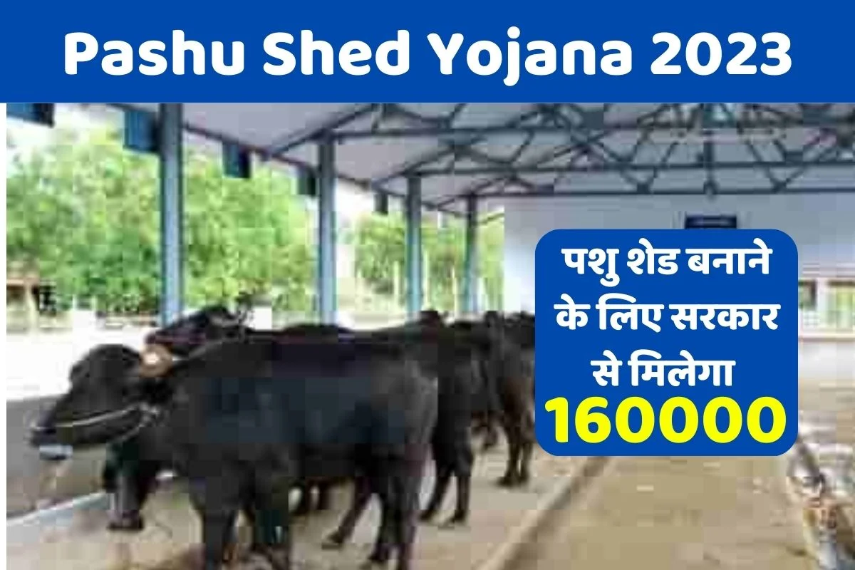 Pashu Shed Yojana 2023