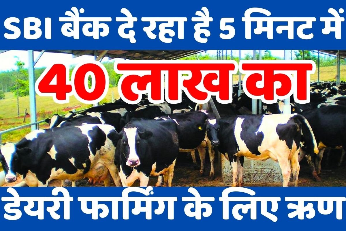Dairy Farming Loan