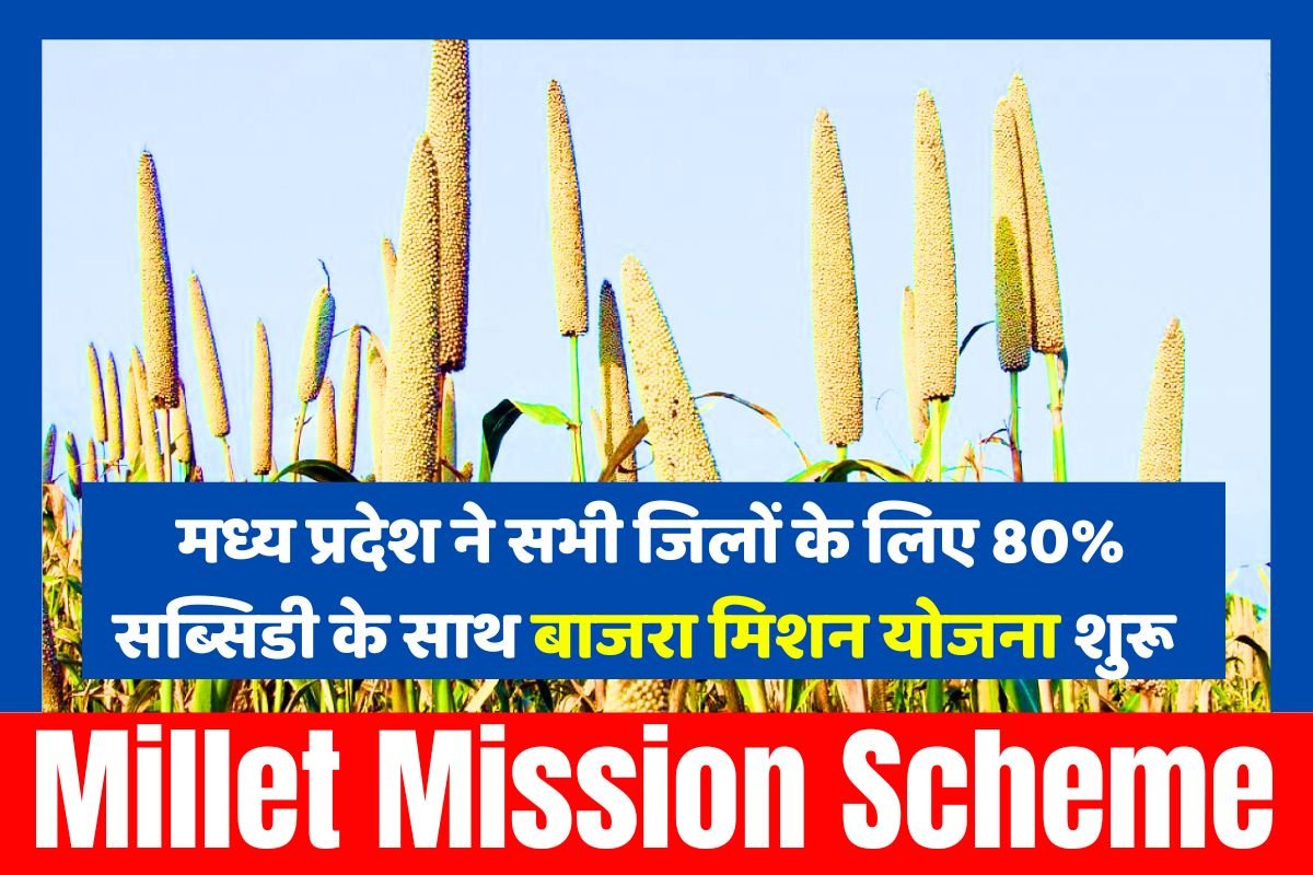 Millet Mission Scheme
