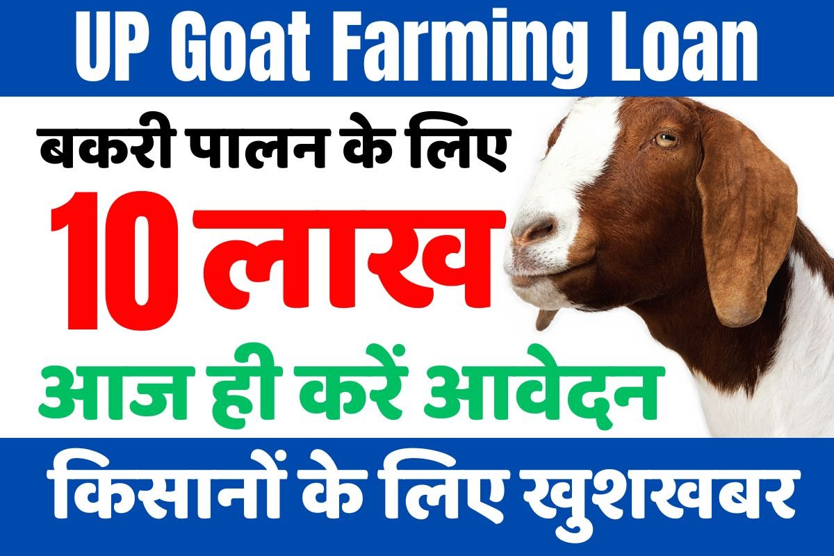 UP Goat Farming Loan Apply 10 