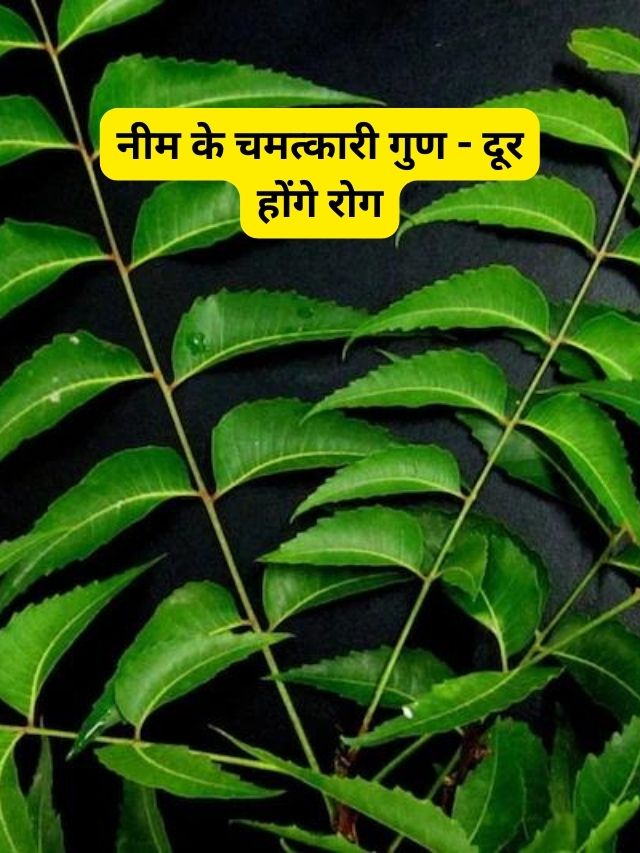 Neem Ke Patte Chabane Ke Labh