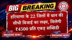 धान की सीधी रोपाई (DSR) योजना का हुआ विस्तार; पहली बार हरियाणा के 22 जिले शामिल, 5 लाख एकड़ का लक्ष्य